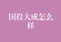 国投大成：比国足还金砖的神秘公司