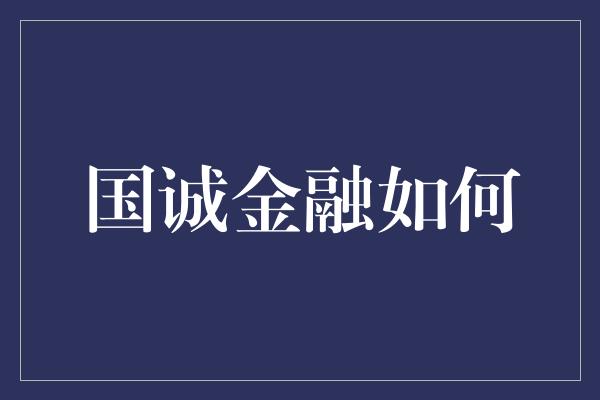 国诚金融如何