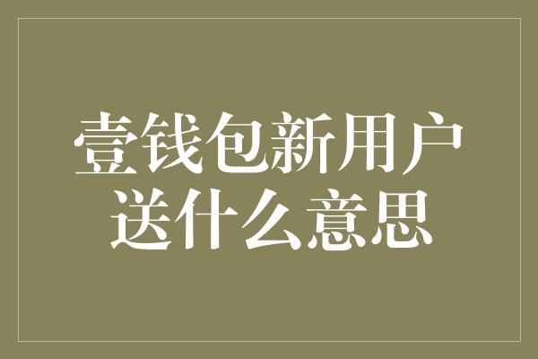 壹钱包新用户送什么意思