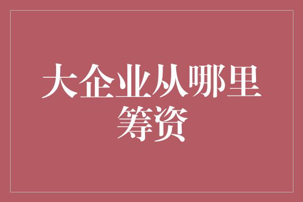 大企业从哪里筹资