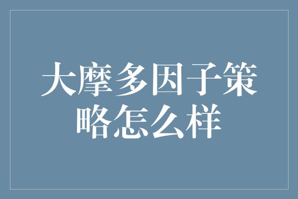 大摩多因子策略怎么样