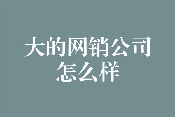 大的网销公司怎么样