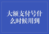 大额支付号：高价值交易与跨境财务往来的重要工具