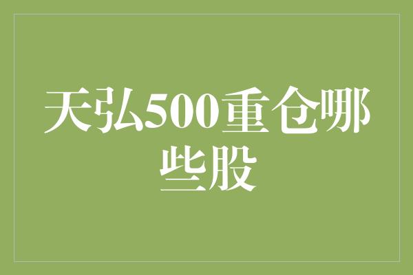 天弘500重仓哪些股