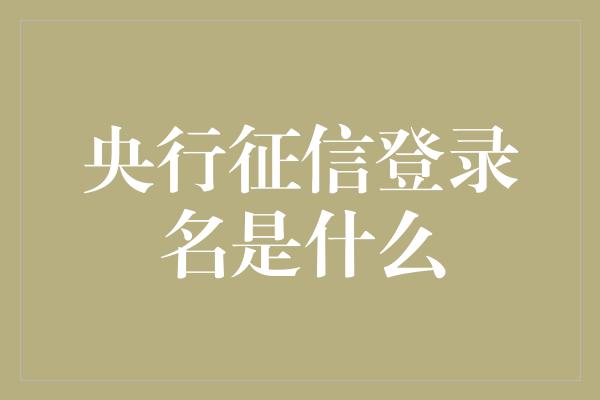 央行征信登录名是什么