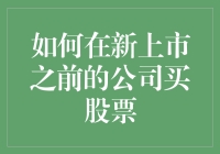 如何在新上市之前的公司购买股票：探索私募股权投资与认购权证的途径