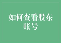 如何系统化地查看股东账号：一份指导手册