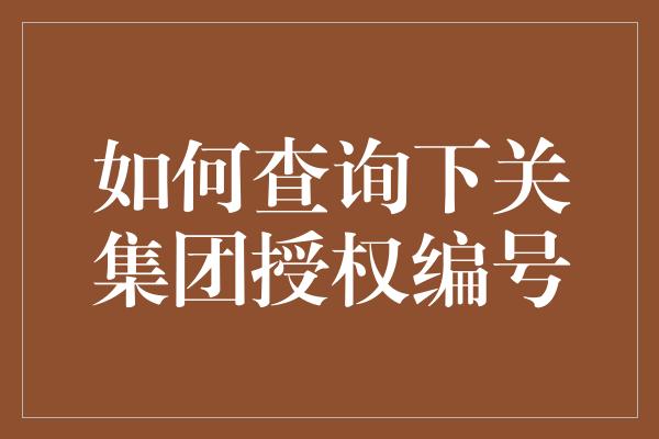 如何查询下关集团授权编号