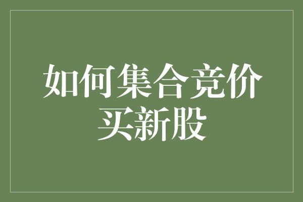 如何集合竞价买新股