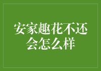 安家趣花不还会怎么样：以创新模式助力家居消费金融的未来发展