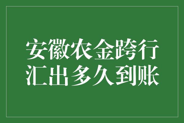 安徽农金跨行汇出多久到账