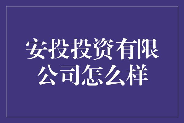 安投投资有限公司怎么样