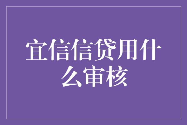 宜信信贷用什么审核