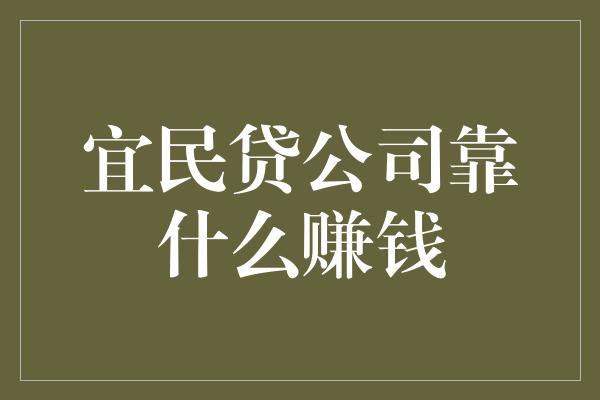 宜民贷公司靠什么赚钱