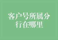 在客户号的迷宫中寻找分行：一场充满惊喜的寻宝之旅