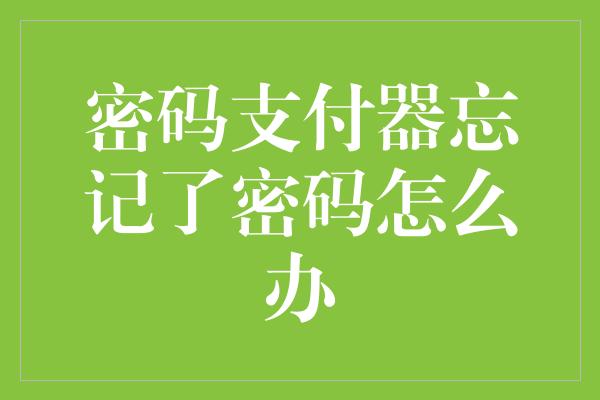 密码支付器忘记了密码怎么办