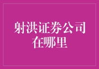 射洪证券公司：专业金融服务的前线阵地