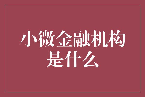 小微金融机构是什么