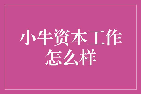 小牛资本工作怎么样