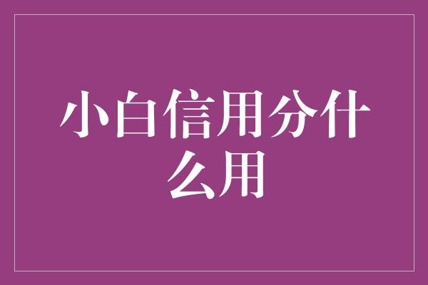 小白信用分什么用