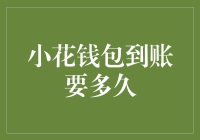 小花钱包到账时间解析：探索背后的技术与逻辑