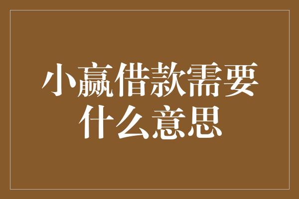 小赢借款需要什么意思