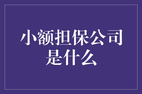 小额担保公司是什么