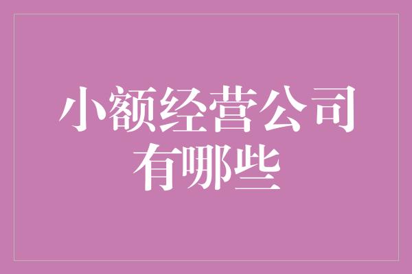 小额经营公司有哪些