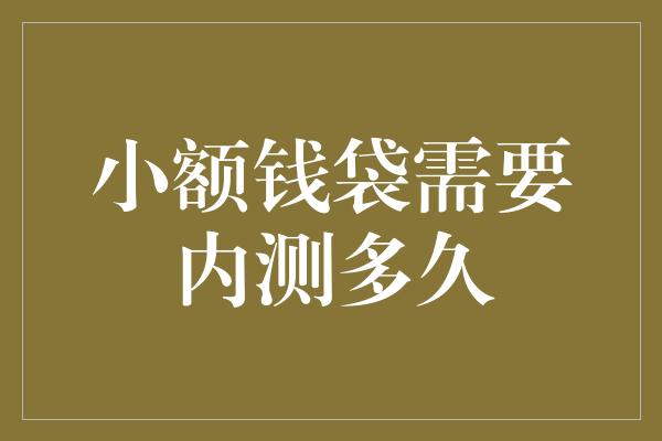 小额钱袋需要内测多久