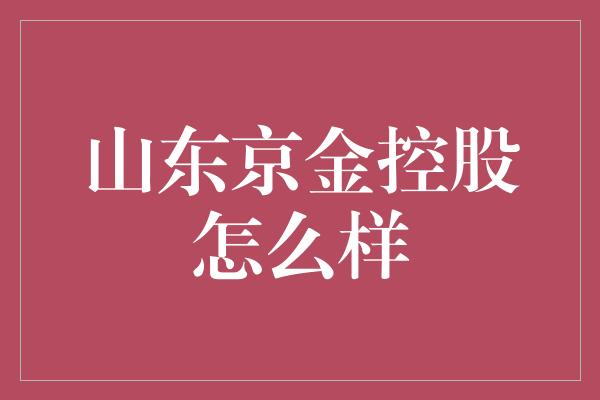 山东京金控股怎么样