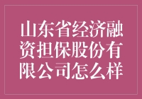 山东省经济融资担保股份有限公司的运营状况及未来发展前景探讨