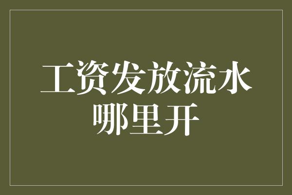 工资发放流水哪里开