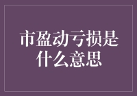 为什么市盈动亏损了？难道是我看花眼了吗？