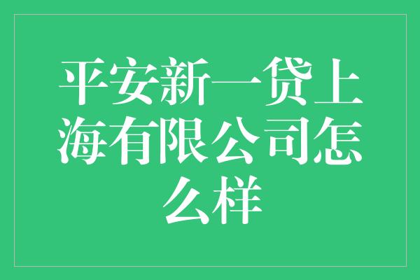 平安新一贷上海有限公司怎么样