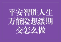 平安智胜人生万能险缓期交？嘿！这还能怎么办？