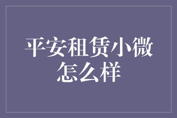 平安租赁小微怎么样