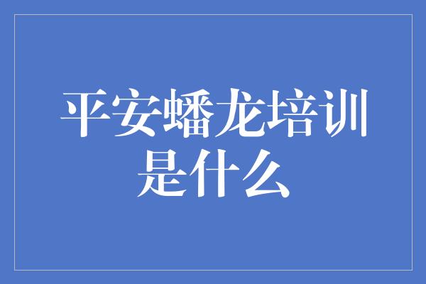 平安蟠龙培训是什么