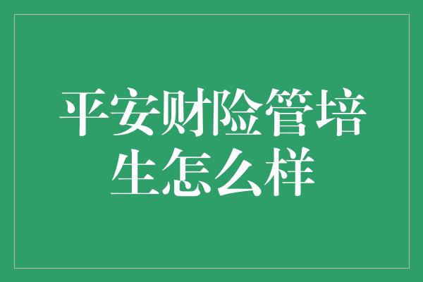 平安财险管培生怎么样