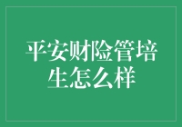 平安财险管培生计划：一份关于成长的邀请函