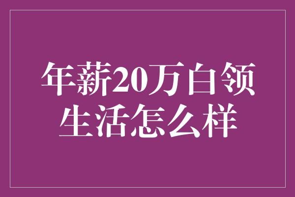 年薪20万白领生活怎么样