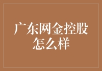 广东网金控股：互联网金融企业的一抹亮色