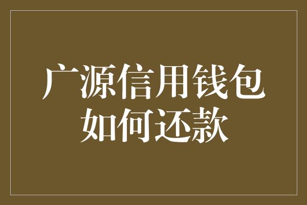 广源信用钱包如何还款