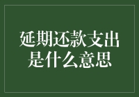 延期还款支出的秘密解析与应对策略