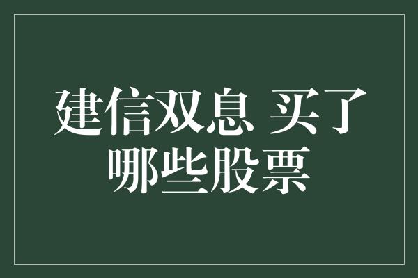 建信双息 买了哪些股票