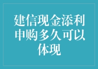 建信现金添利申购多久可以体现：深度解析与投资建议