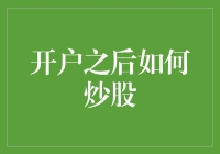 开户之后如何炒股：从菜鸟到股市大神的不完全手册