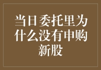 当日委托里为什么没有申购新股：一场神秘的股市喜剧