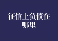 探秘征信上负债的隐形角落：如何洞悉你的财务信用轨迹