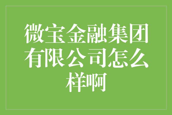 微宝金融集团有限公司怎么样啊