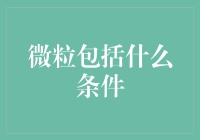 微粒金融：探寻其构成要素与实现条件